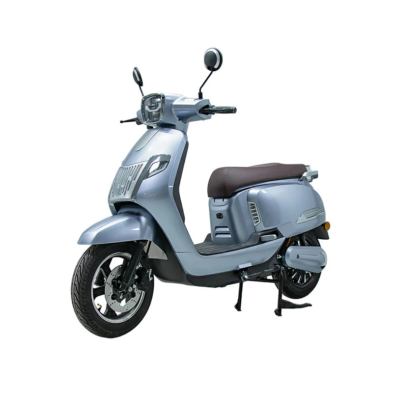 প্রাপ্তবয়স্কদের জন্য 10 ইঞ্চি 800W মোটরসাইকেলের জন্য বৈদ্যুতিক মোটরবাইক