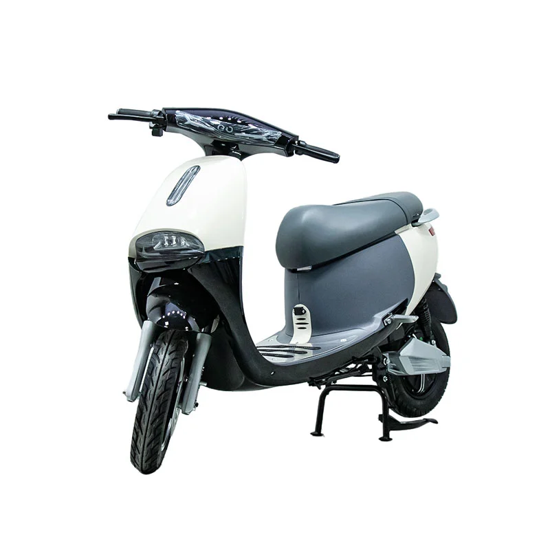 10 ইঞ্চি 1000W মোটরসাইকেলের সাথে বৈদ্যুতিক মোটরবাইক